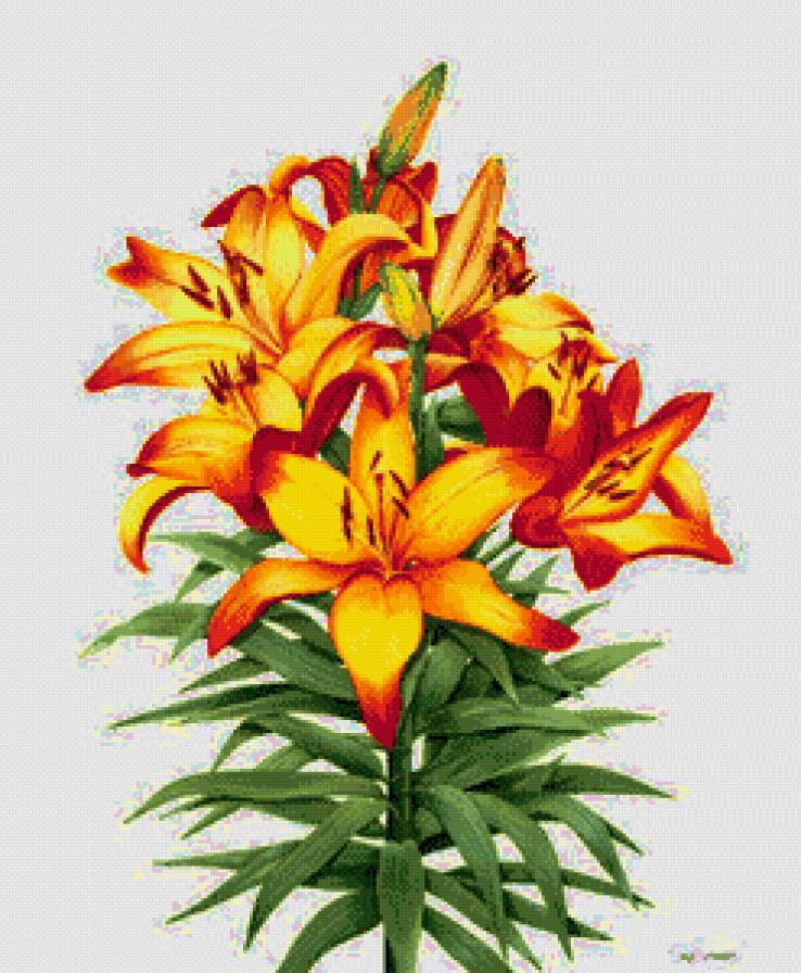 Из цикла акварельные миниатюры. - предпросмотр