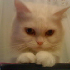 Схема вышивки «№632283»