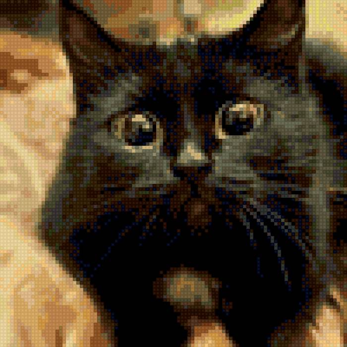 Кошечка - кошка - предпросмотр