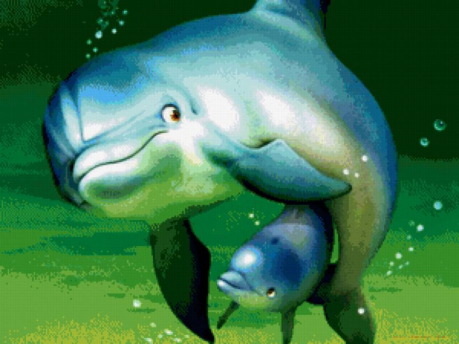 Дельфины - животные, море - предпросмотр