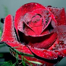 Схема вышивки «№632545»