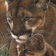 Схема вышивки «картина»