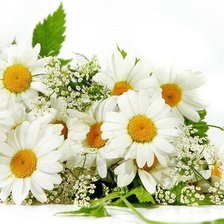 Схема вышивки «№632636»