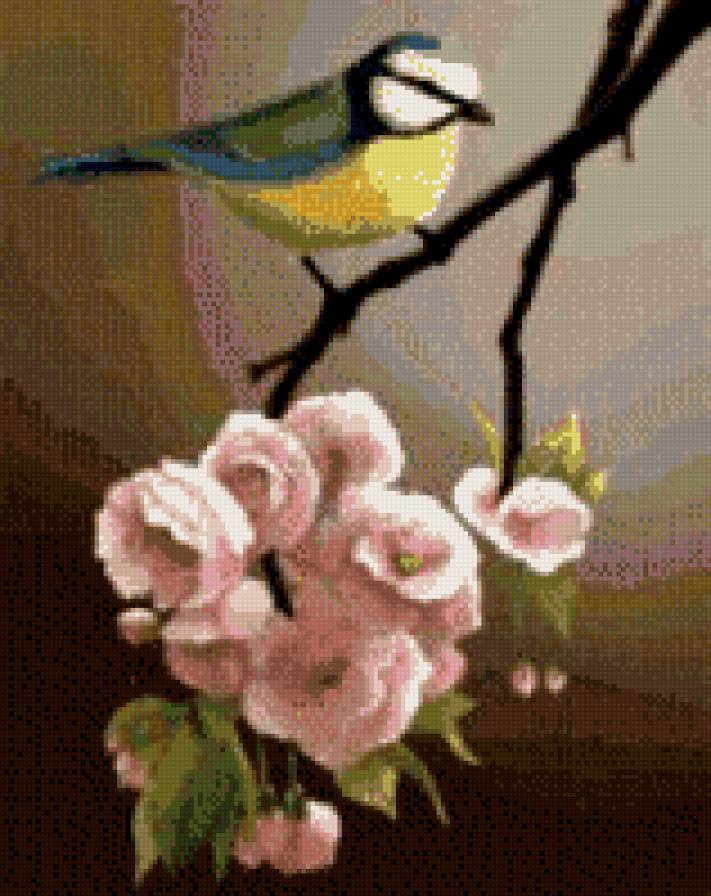 сакура и синица - птица, цветок, ветка - предпросмотр