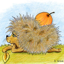 Схема вышивки «Ёжик»