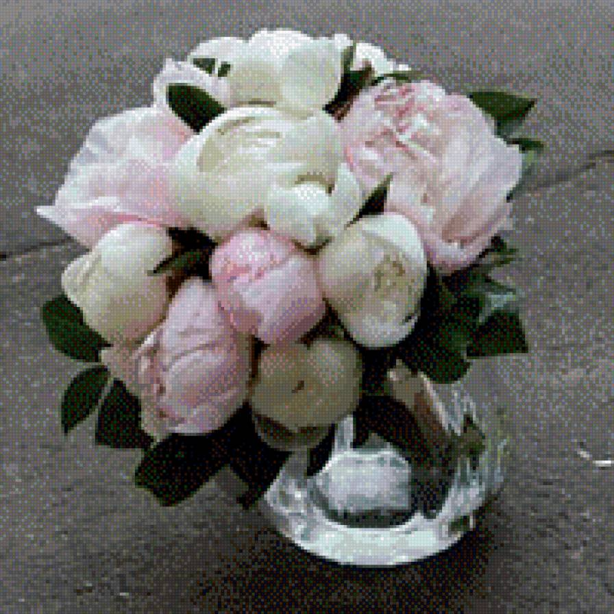 Белые пионы - белые пионы, пионы - предпросмотр