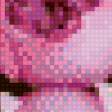 Предпросмотр схемы вышивки «пионы» (№632812)