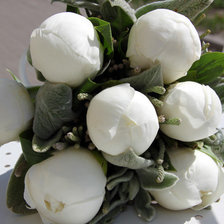 Схема вышивки «Белые пионы»