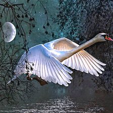 Схема вышивки «в лунном сиянье...»