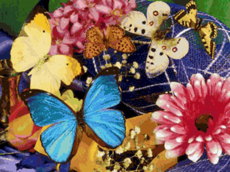 букет бабочек - бабочки, букет - предпросмотр