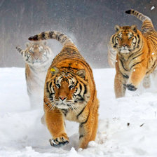 Схема вышивки «lamparty»