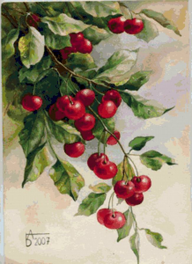 вишневая ветка - ягода, вишня - предпросмотр