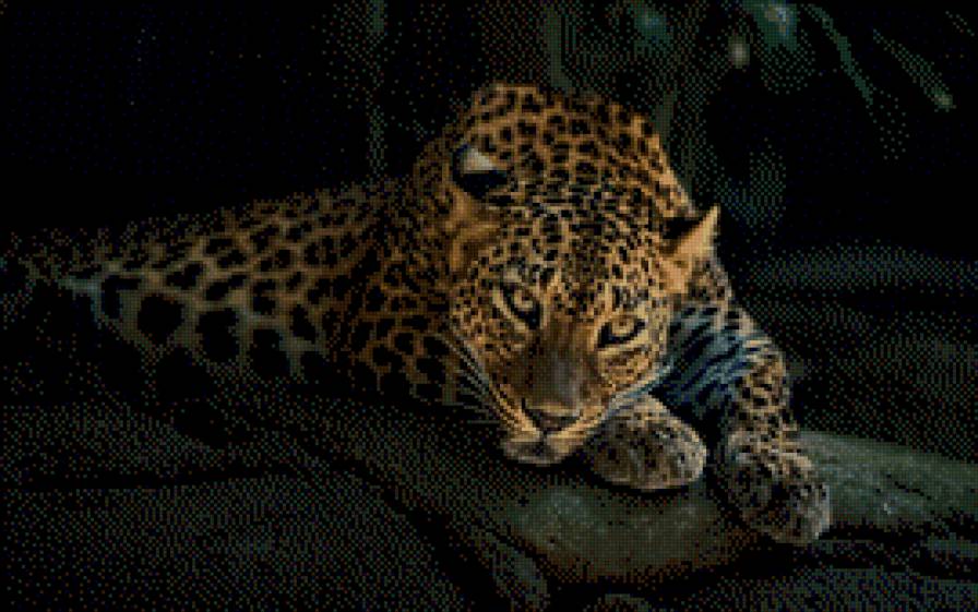 Lampart - lampart - предпросмотр