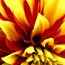 Схема вышивки «Огненный цветок»