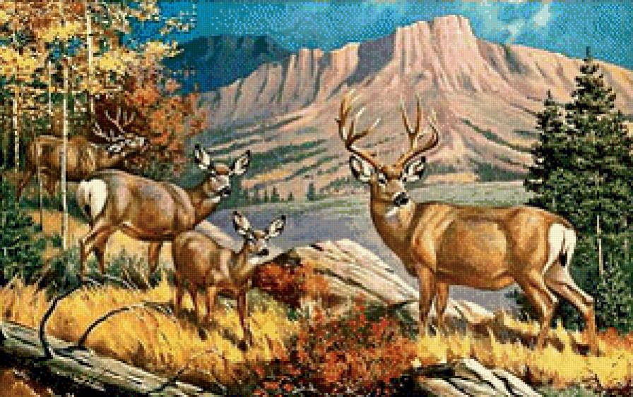 Осень в горах - горы, осень, олени, пейзаж - предпросмотр