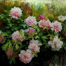 Схема вышивки «Jiang Zongqiang-Peonie»