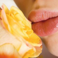 роза страсти