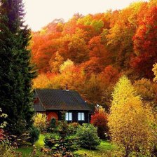 Схема вышивки «серия "осень"»