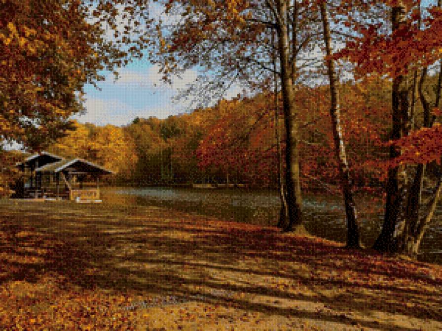 серия "осень" - природа.пейзаж.парк.осень - предпросмотр