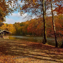 Схема вышивки «серия "осень"»