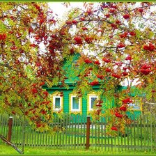 Схема вышивки «серия "осень"»