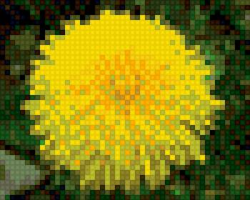 одуванчик - предпросмотр