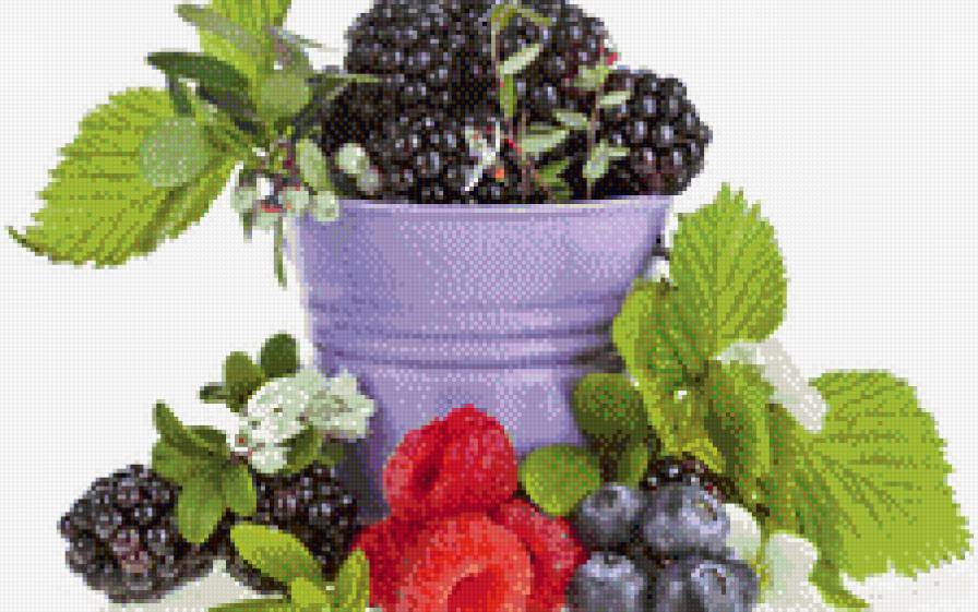 №633528 - кухня - предпросмотр