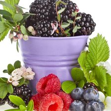 Схема вышивки «№633528»