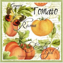 Схема вышивки «картинка на кухню»