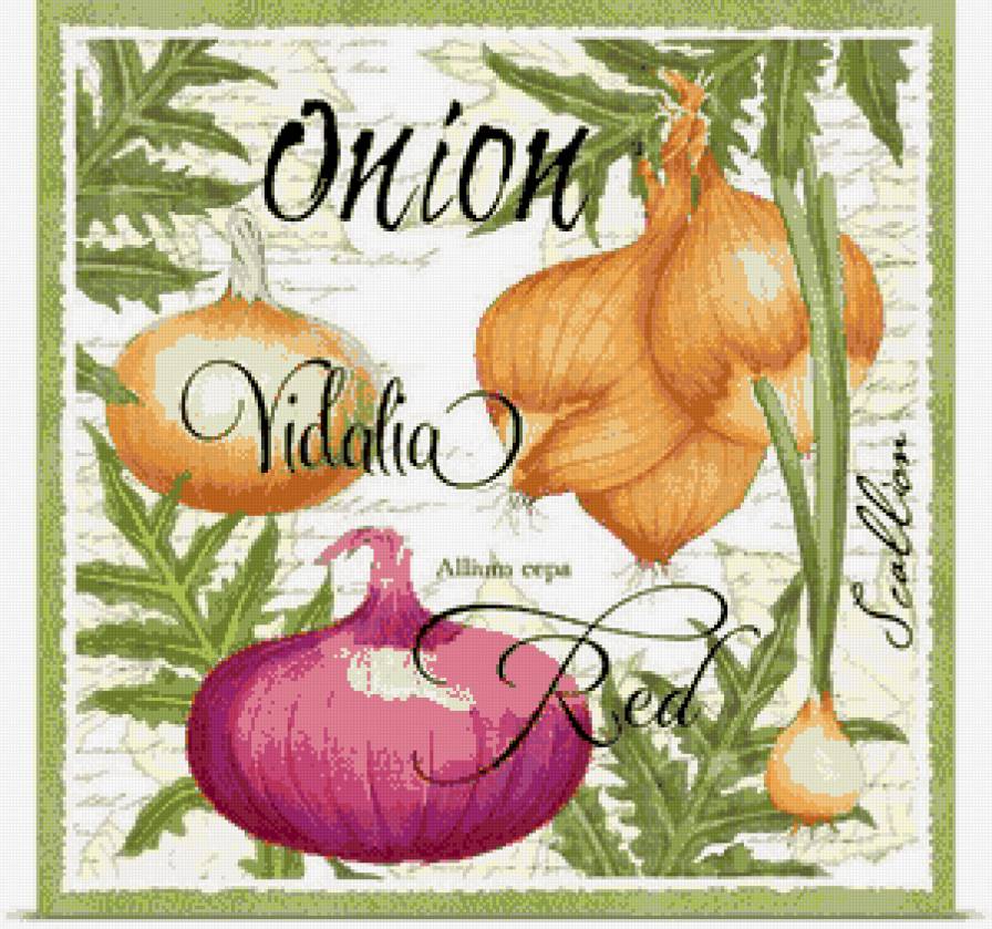 картинка на кухню - зелень, репчатый, рамка, лук, надпись, листья салата - предпросмотр