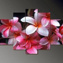 Схема вышивки «poli flori»