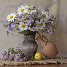 Схема вышивки «ромашки2»