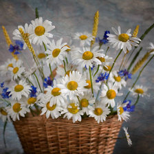 Схема вышивки «ромашки3»