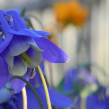 Схема вышивки «колокольчик»