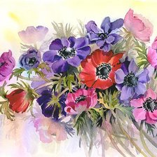 Схема вышивки «разноцветные маки»