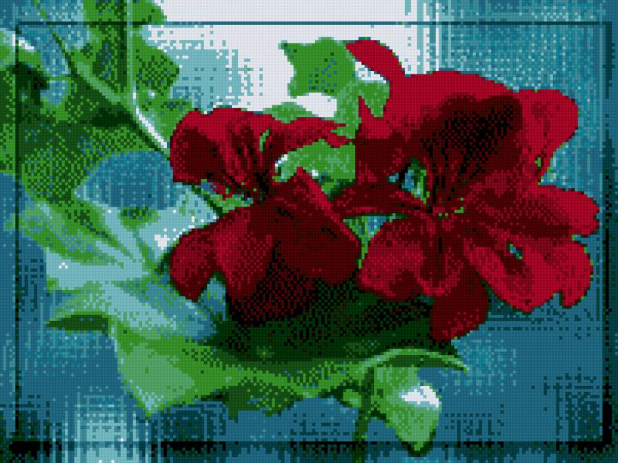 герань - букет, цветы - предпросмотр