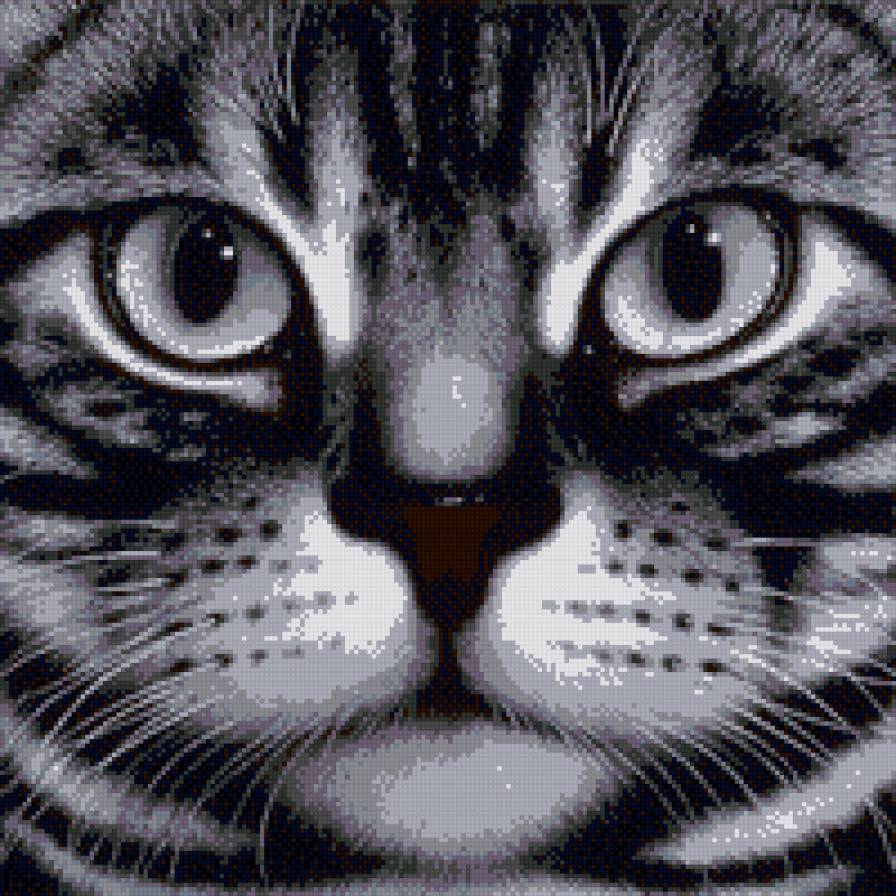 котэ - кот - предпросмотр