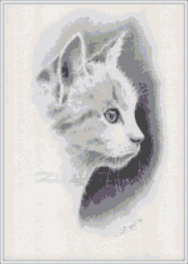 киса - черно-белое, кошка, звери - предпросмотр