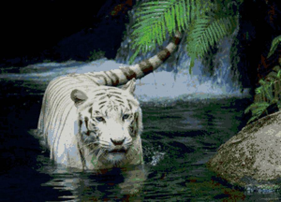 тигр - кошка, звери, тигр - предпросмотр
