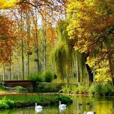 Схема вышивки «парк с лебедями»