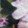 Предпросмотр схемы вышивки «Zbigniew Kopania» (№633874)