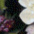 Предпросмотр схемы вышивки «Zbigniew Kopania» (№633875)