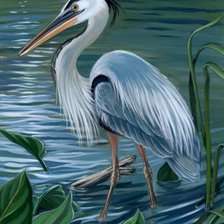 Схема вышивки «Цапля»