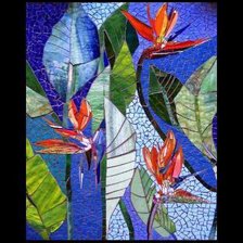 Схема вышивки «pajaro»