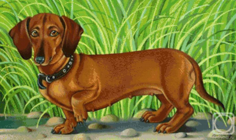 такса - картина - предпросмотр