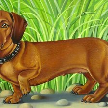 Схема вышивки «такса»