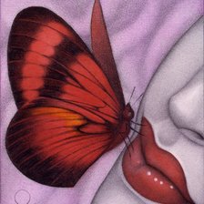 Схема вышивки «бабочка»