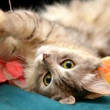 Схема вышивки «№634289»