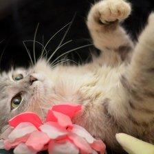 Схема вышивки «№634295»