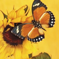 Схема вышивки «№634305»